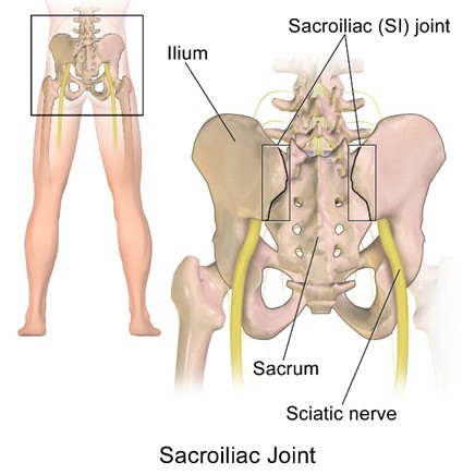 1 Figure 1 - Sacroiliac (SI) Joint