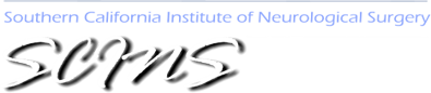 SCINS Logo