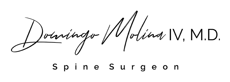 Domingo molina logo