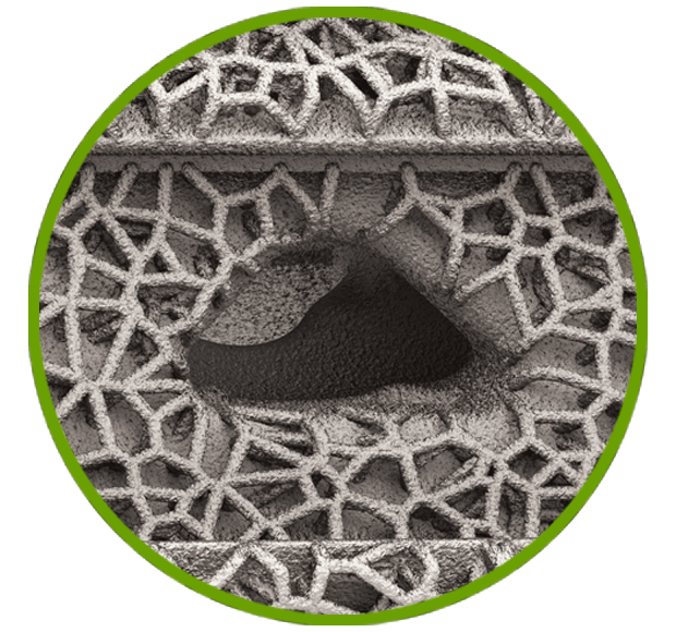 iFuse Intra Ti Bone Anchors