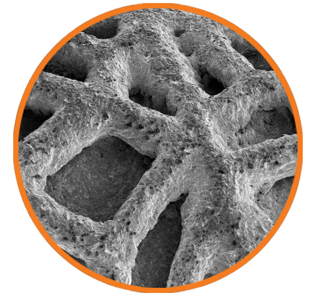 Mimics cancellous bone