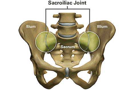 Sacroiliac Joint Force And Form Closure Sacroiliac Joint The